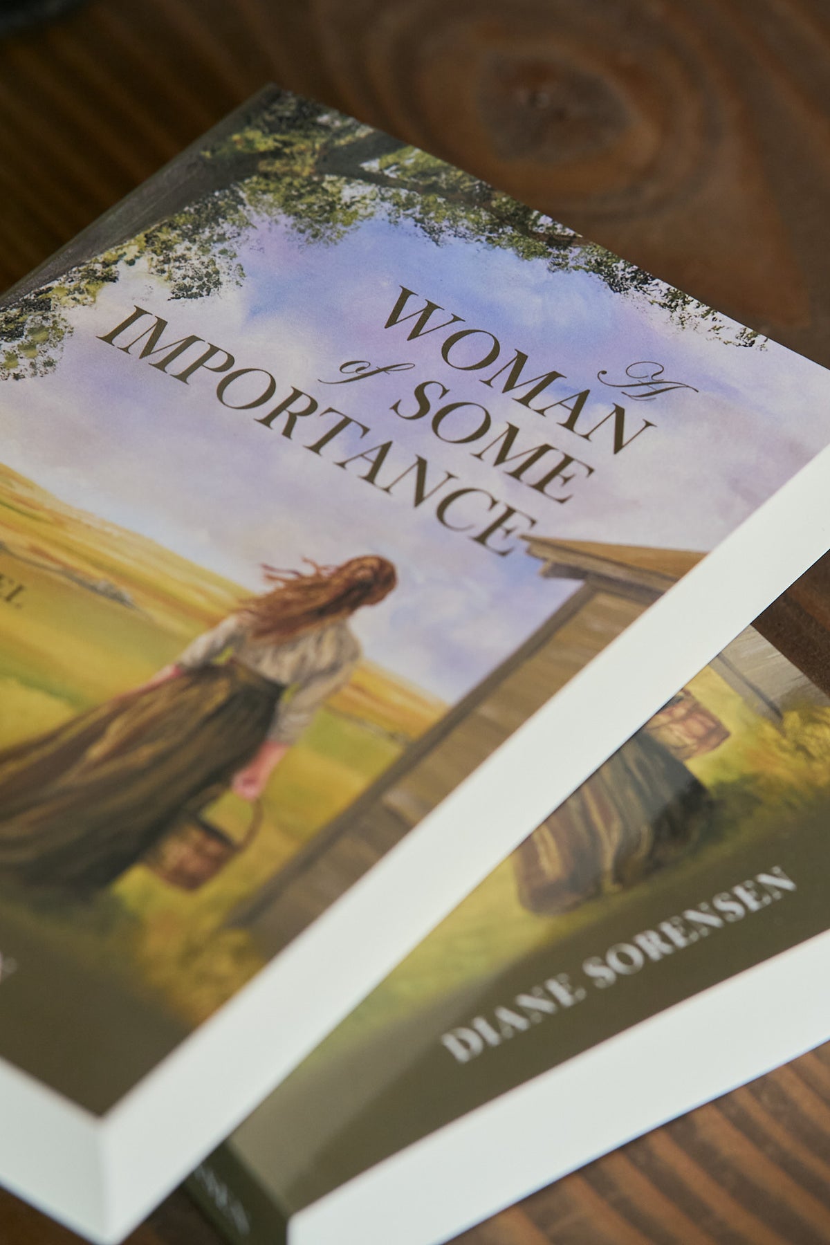 PRE-ORDER: A Women of Some Importance: A Novel