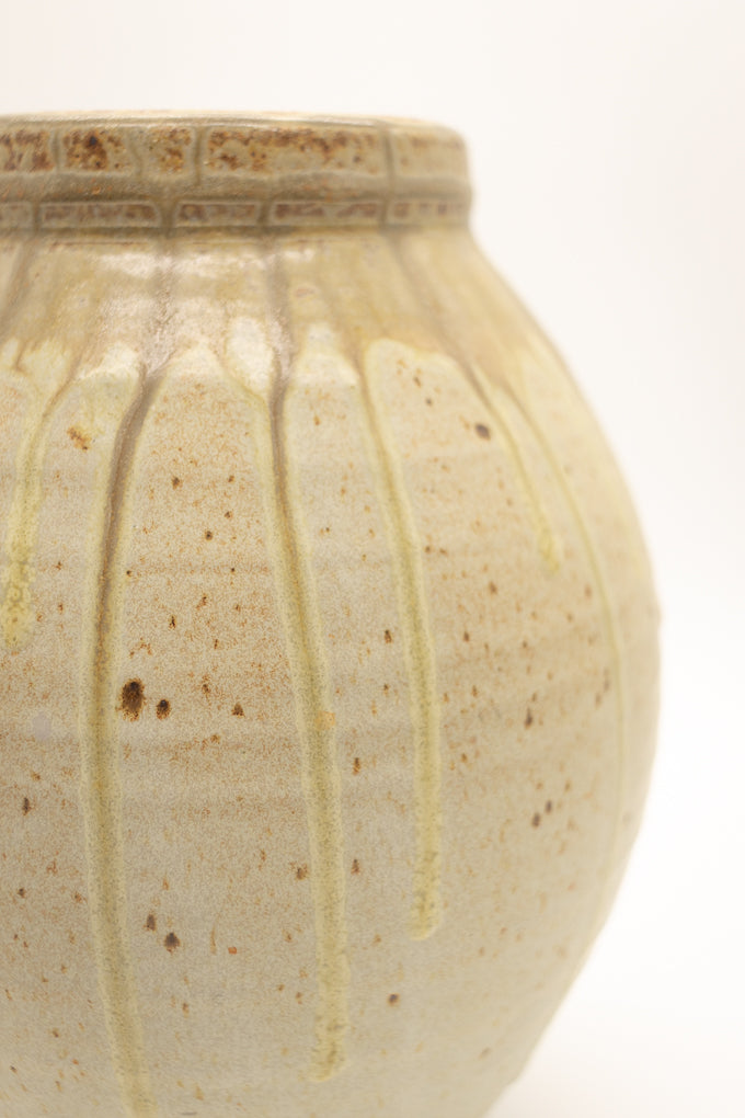 Ceramic Speckled Vase