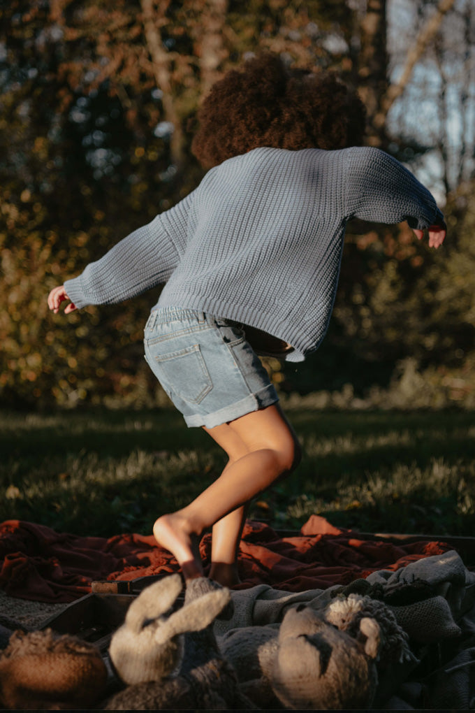 The Denim Short
