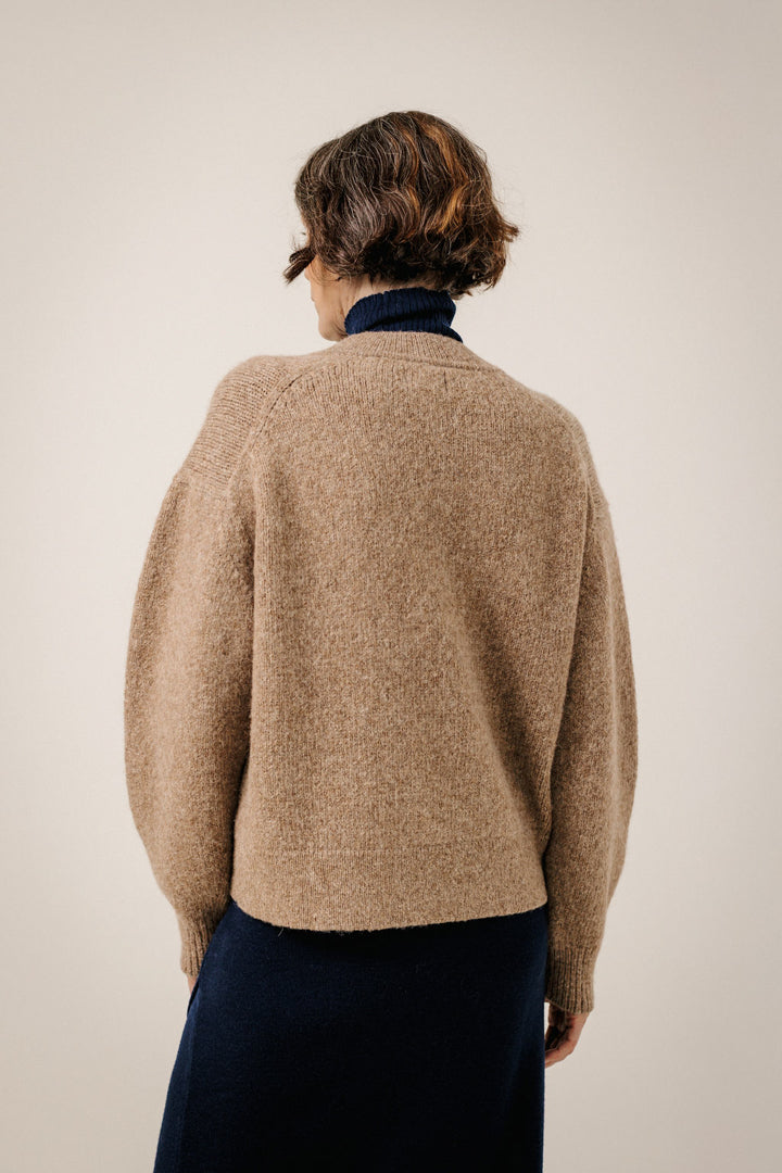 Boxy Alpaca V-neck in Dark Fawn