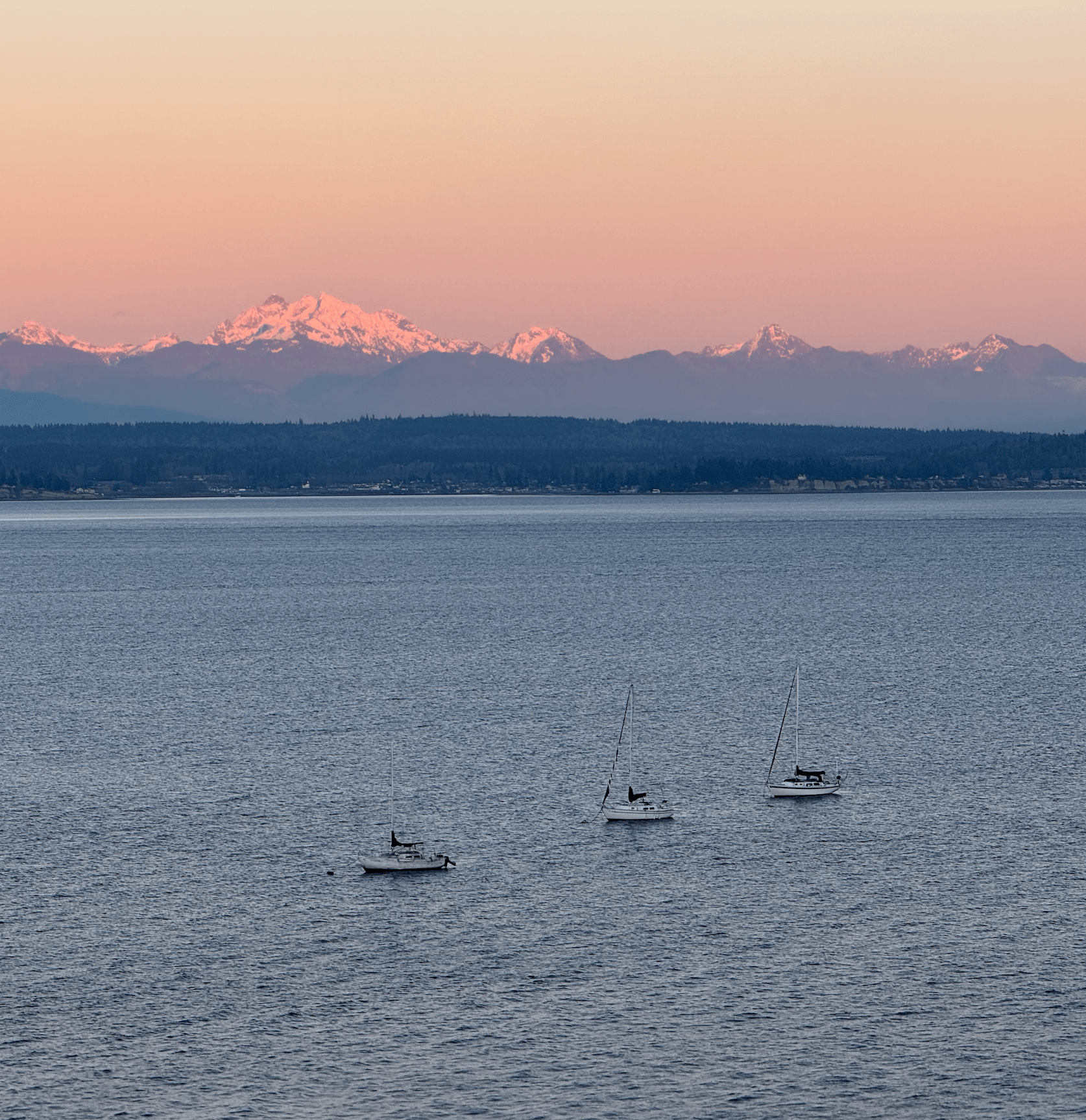 Whidbey Island Coastal Landscape 